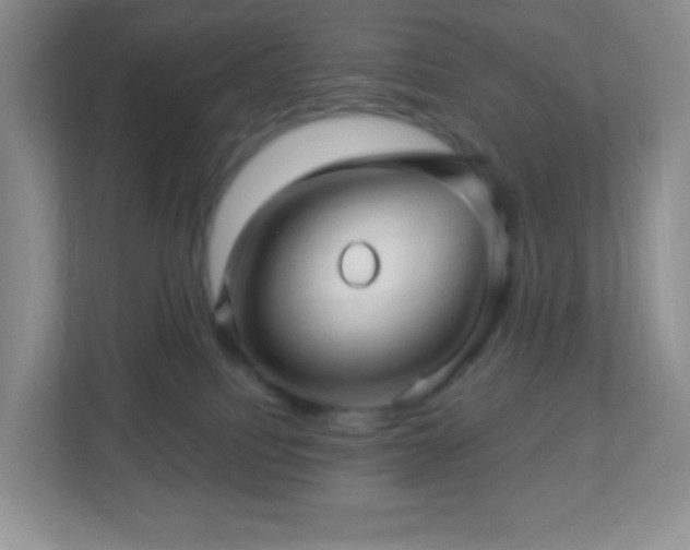 X0000113050088200909031340