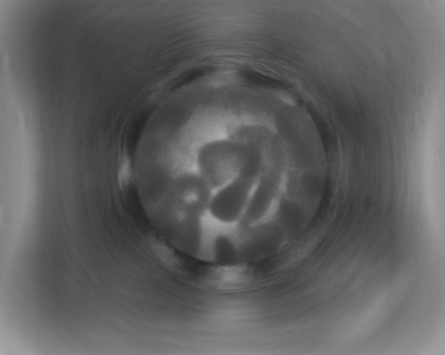 X0000113050089200909031340