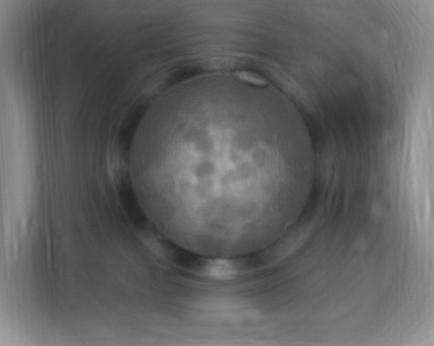 X0000113050091200909031340