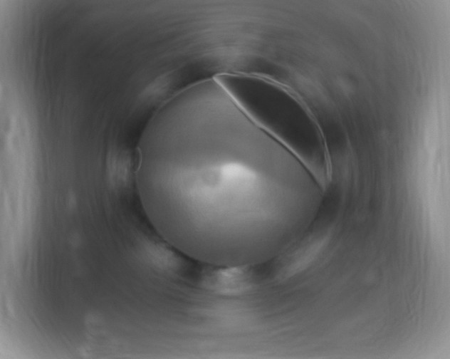 X0000113050092200909031340