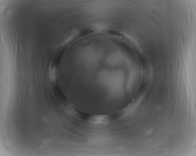 X0000113050093200909031340