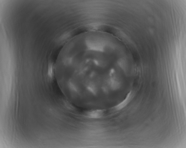 X0000113050094200909031340