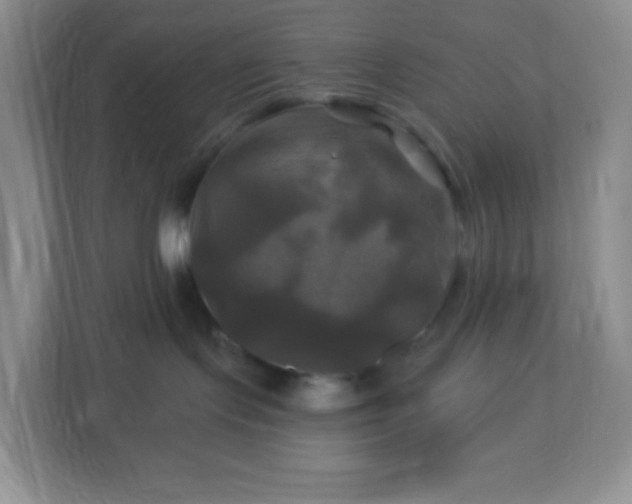 X0000113050095200909031340