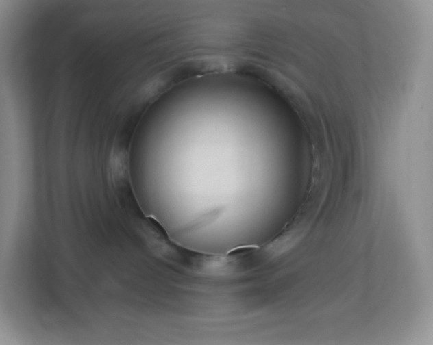 X0000113050096200909031340