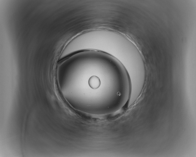 X0000113050097200909031340