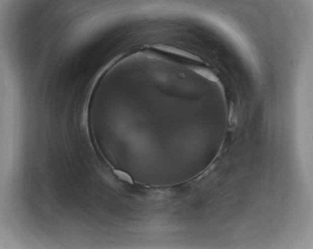 X0000113050099200909031340