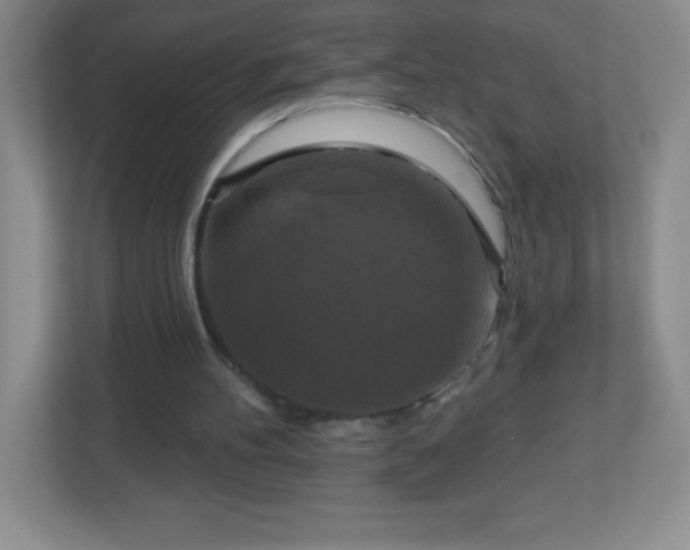 X0000113050100200909031340