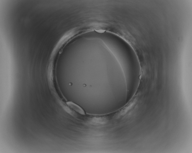 X0000113050101200909031340