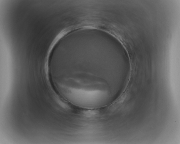 X0000113050102200909031340