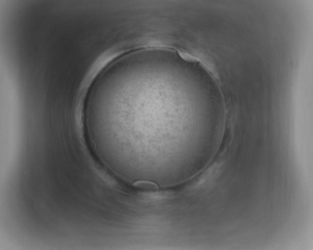 X0000113050103200909031340