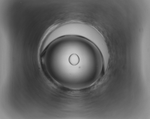 X0000113050104200909031340