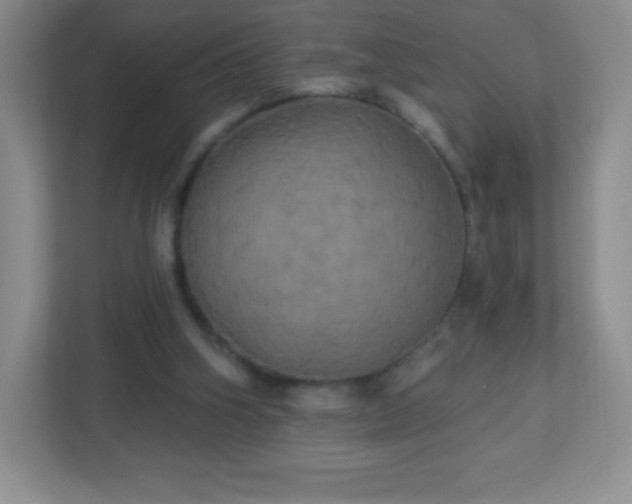 X0000113050106200909031340