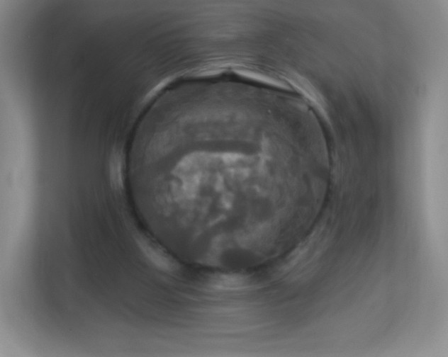 X0000113050107200909031340