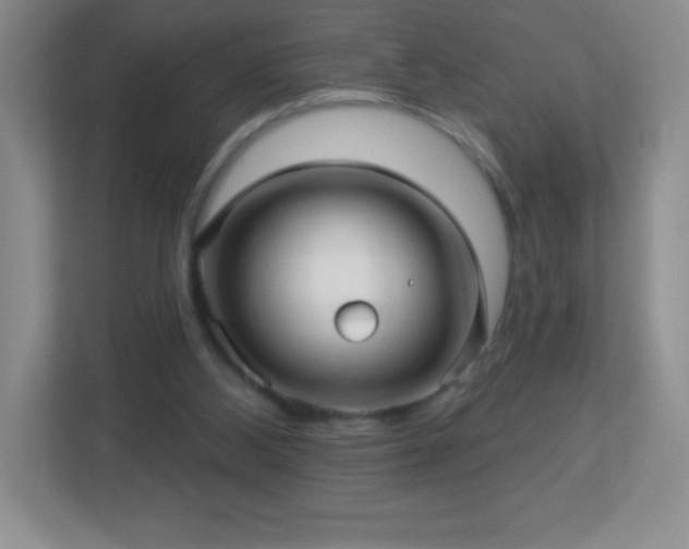 X0000113050108200909031340