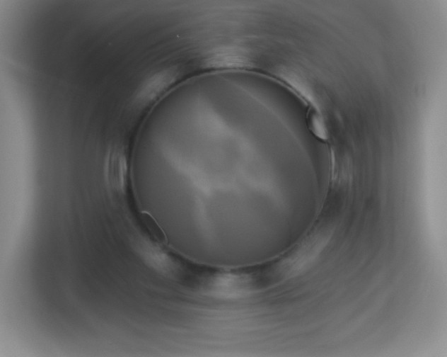 X0000113050109200909031340