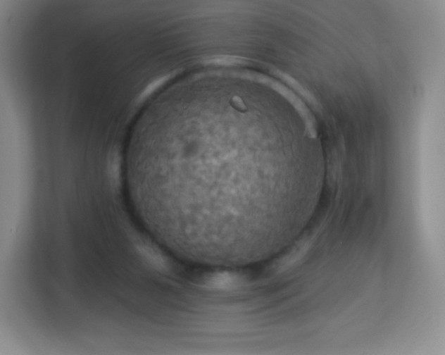 X0000113050111200909031340