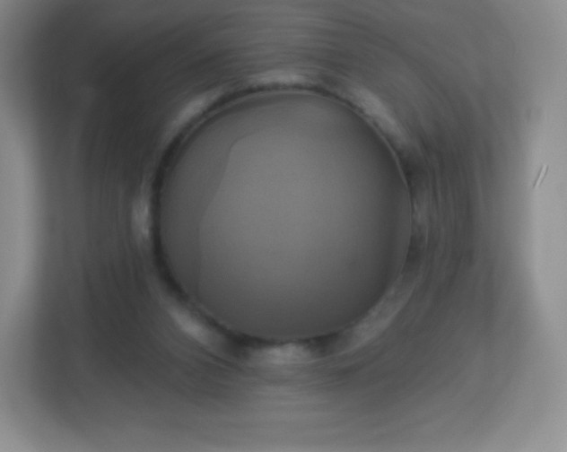 X0000113050112200909031340