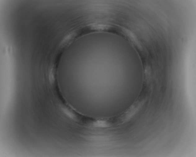 X0000113050114200909031339