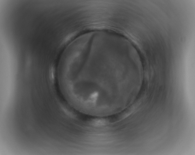 X0000113050115200909031339