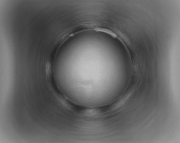 X0000113050117200909031339