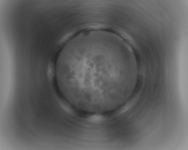 X0000113050119200909031339