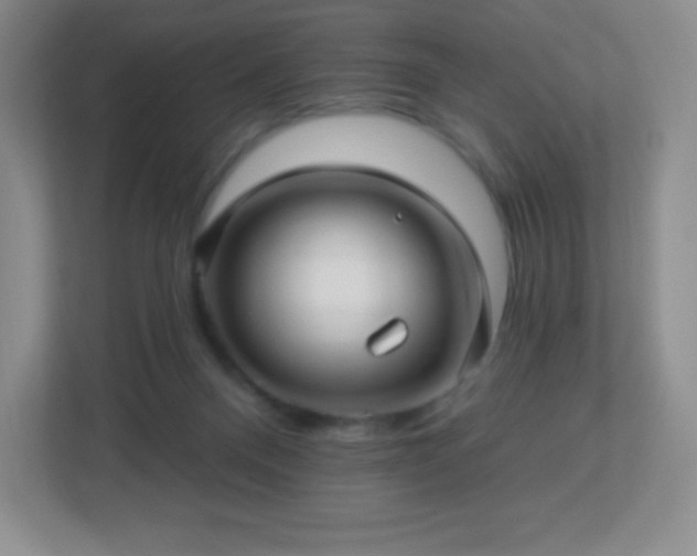 X0000113050120200909031339