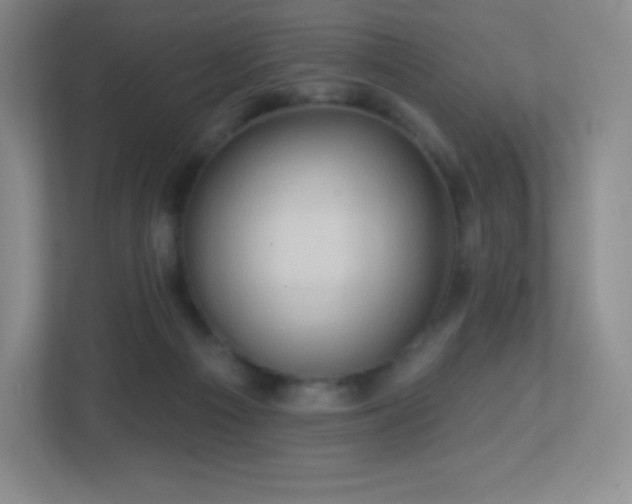 X0000113050121200909031339