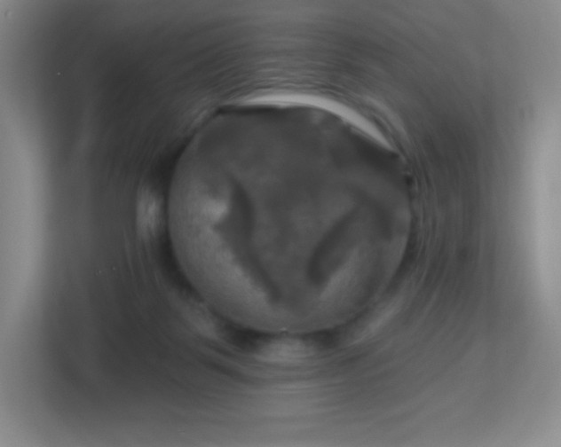 X0000113050123200909031339