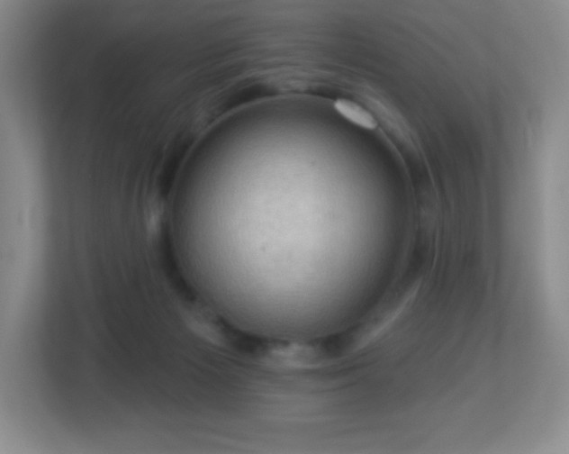 X0000113050125200909031339