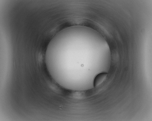 X0000113050126200909031339