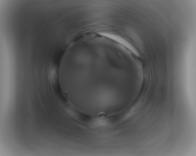 X0000113050127200909031339