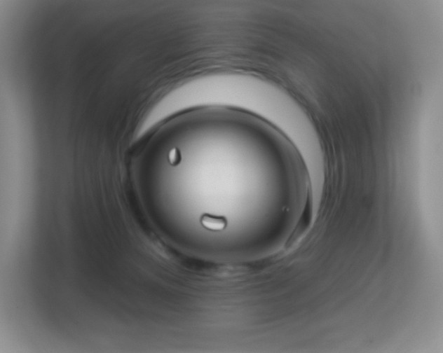 X0000113050128200909031339