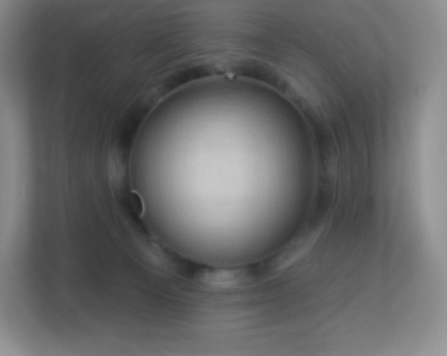 X0000113050129200909031339