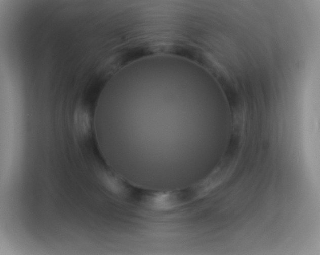 X0000113050130200909031339