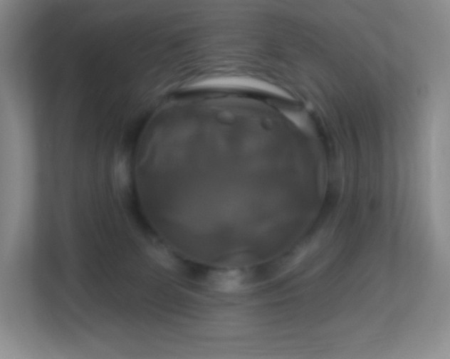 X0000113050131200909031339