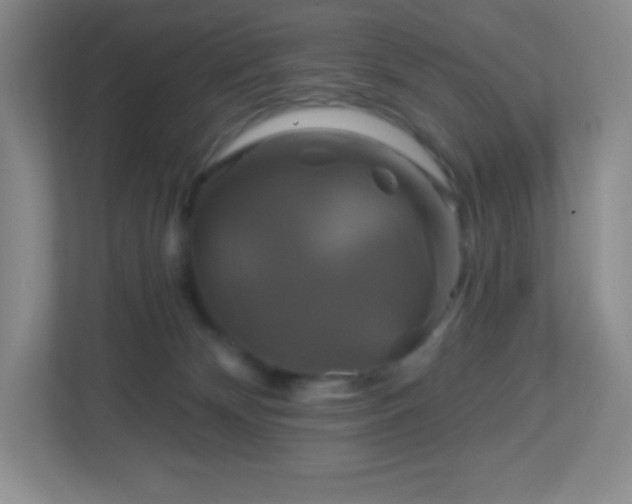 X0000113050132200909031339