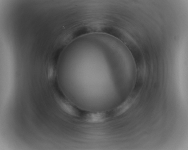 X0000113050134200909031339