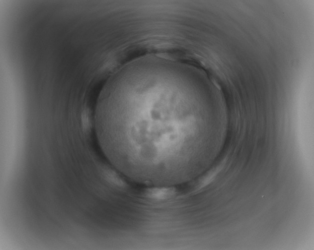 X0000113050135200909031339