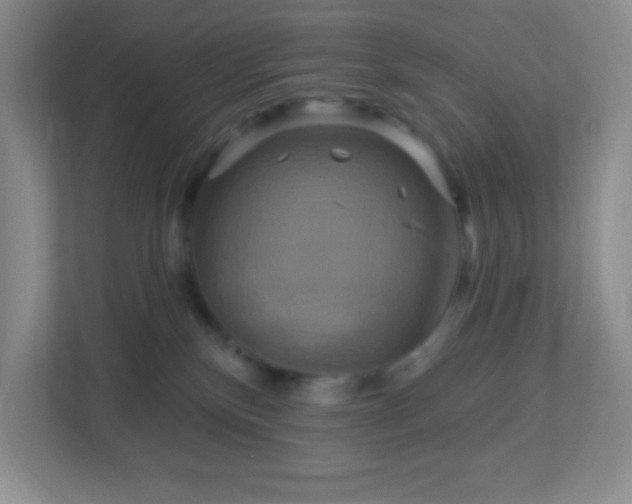 X0000113050136200909031339