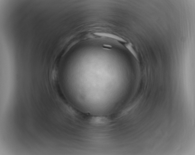 X0000113050137200909031339