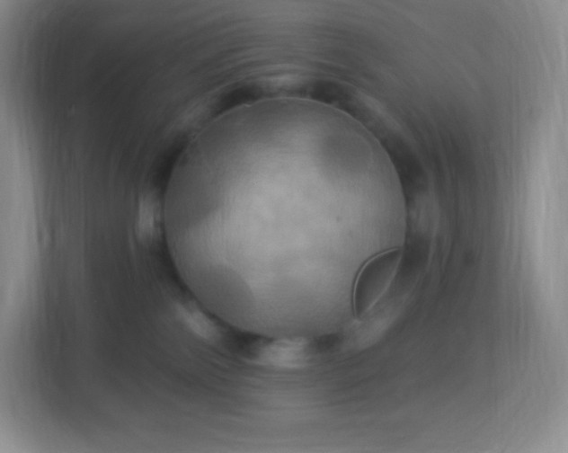 X0000113050138200909031339