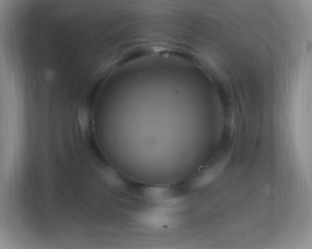 X0000113050139200909031339