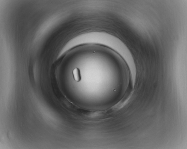 X0000113050140200909031339