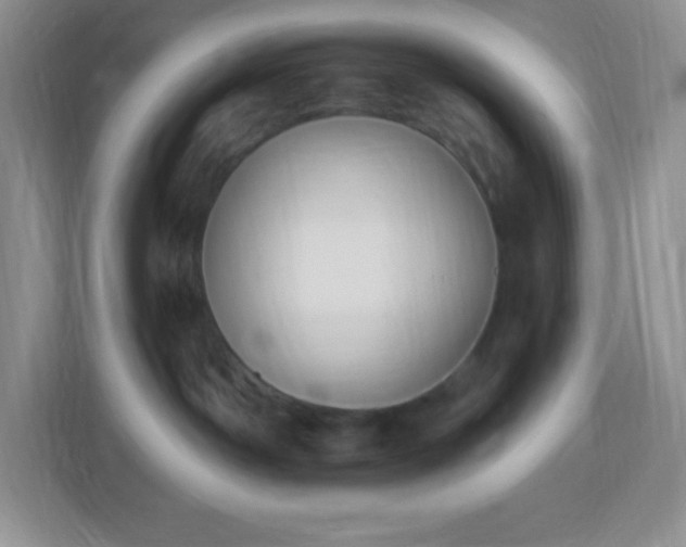 X0000113050142200909031339