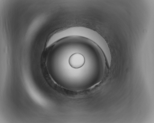 X0000113050144200909031339