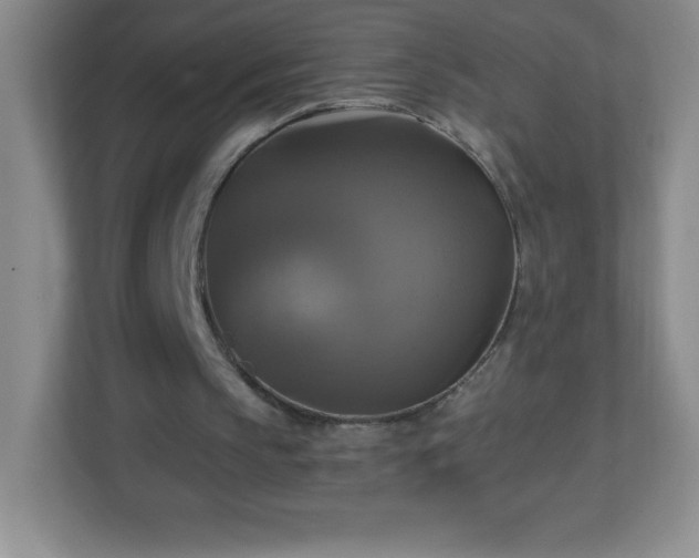 X0000113050145200909031338