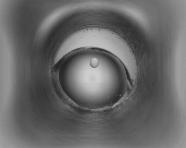 X0000113050146200909031338