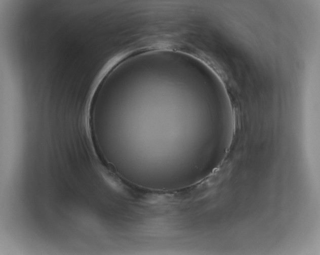 X0000113050147200909031339