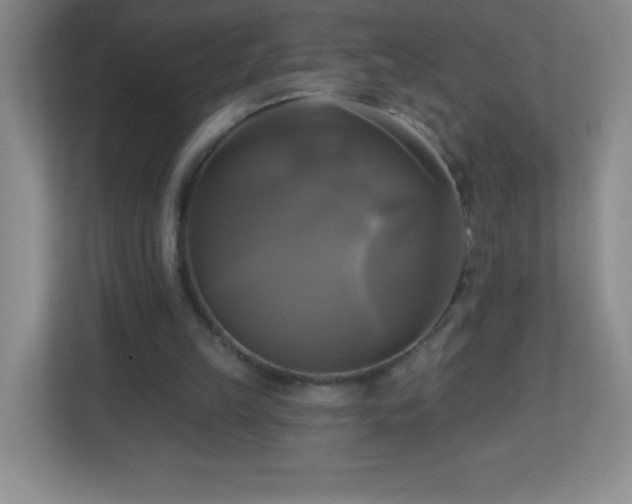 X0000113050149200909031339