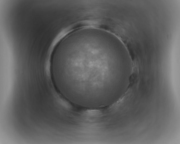 X0000113050150200909031339